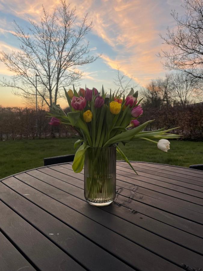 Helts B&B - Helts Guesthouse Herning Luaran gambar